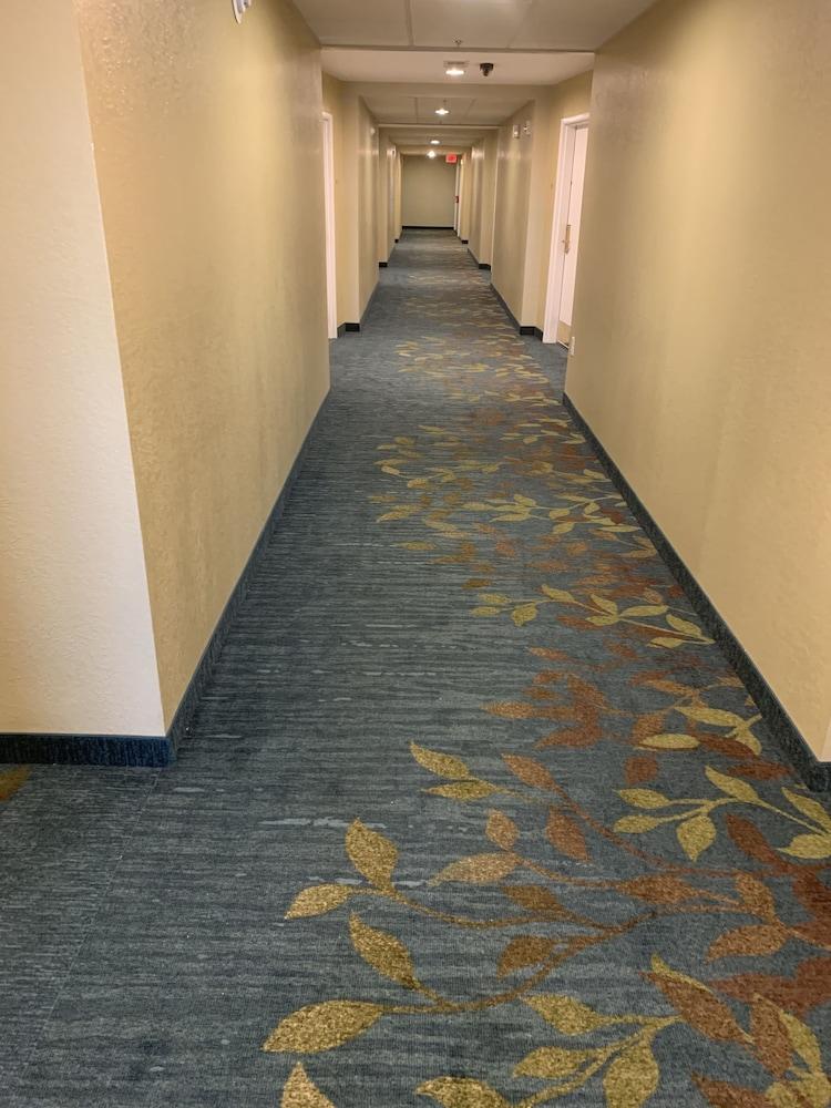 Candlewood Suites - Grand Prairie - Arlington By Ihg Exterior photo